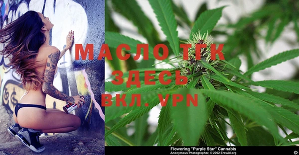 стафф Богородицк