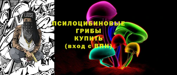 стафф Богородицк