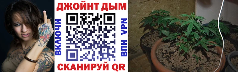 Бошки марихуана сатива  Микунь 